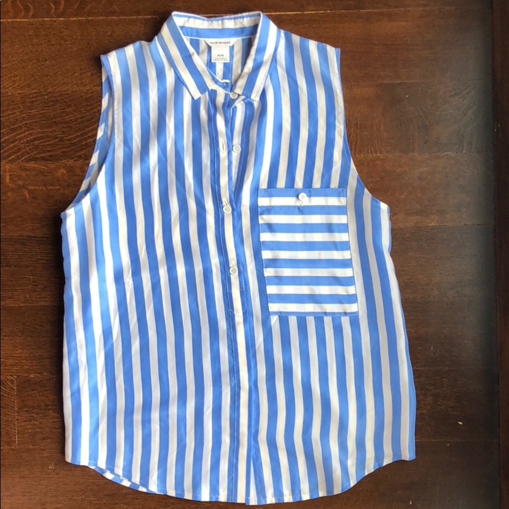Club Monaco blue stripe silk sleeveless blouse